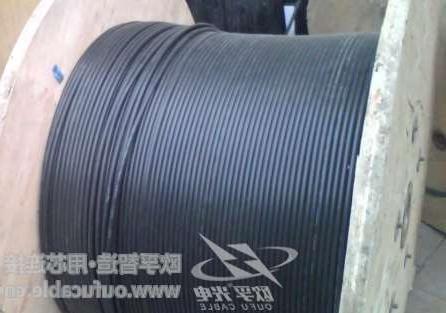 忻州市12芯GYXTW中心束管式光缆制作 欧孚GYXTW光缆特点